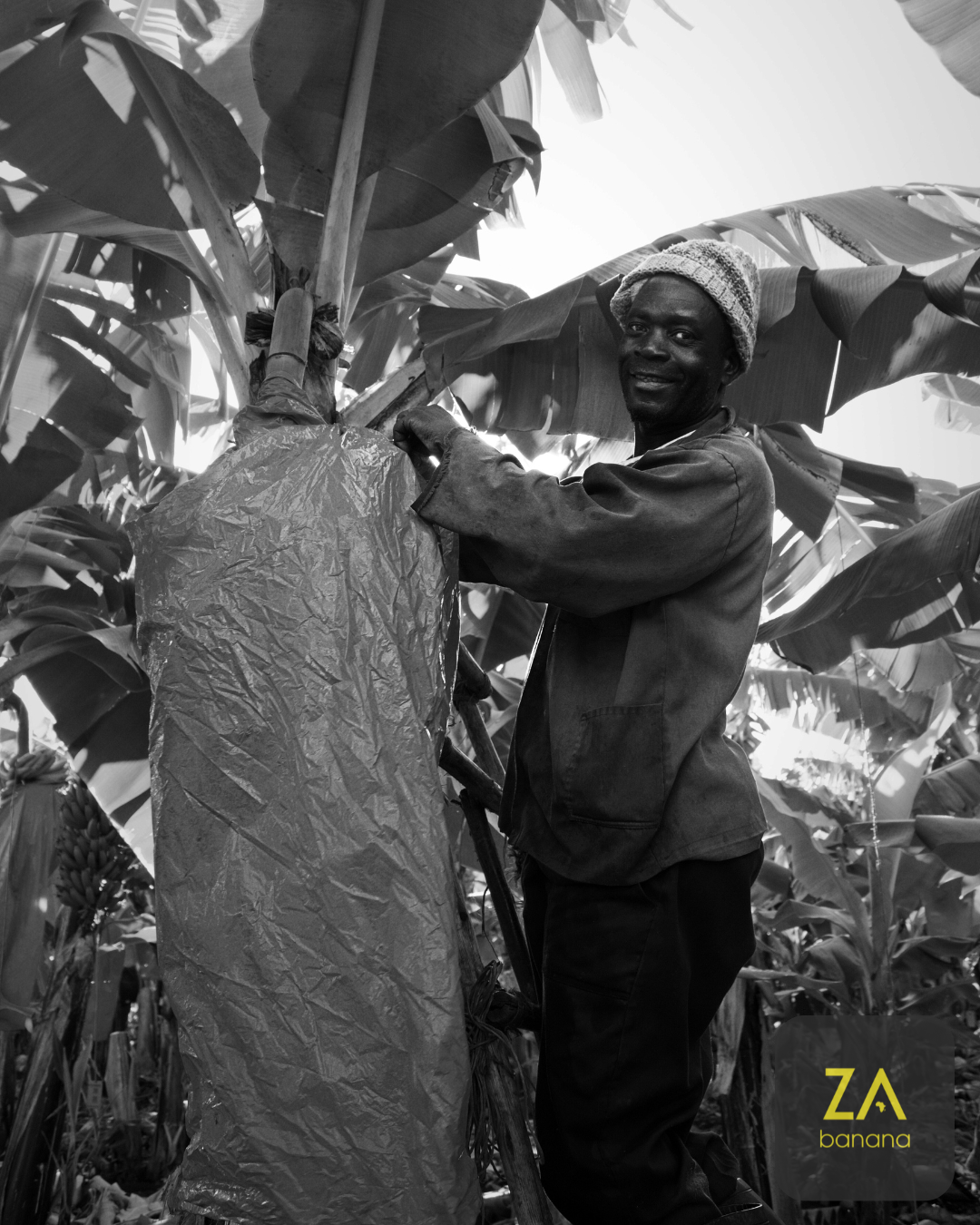 Peach Motivational Quote Instagram Post - 13